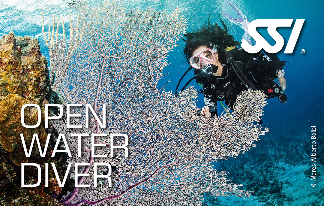 image of open water certification card